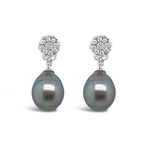 Tahitian Pearl & Diamond Earrings